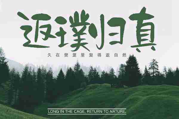 Aa丁香手書